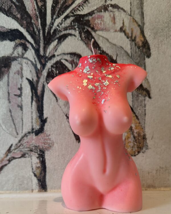 she statuesque pink ombre with silver embellishment 14cm